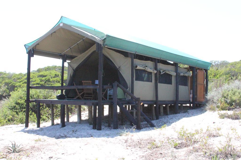 West Coast Luxury Tents Dwarskersbos 外观 照片