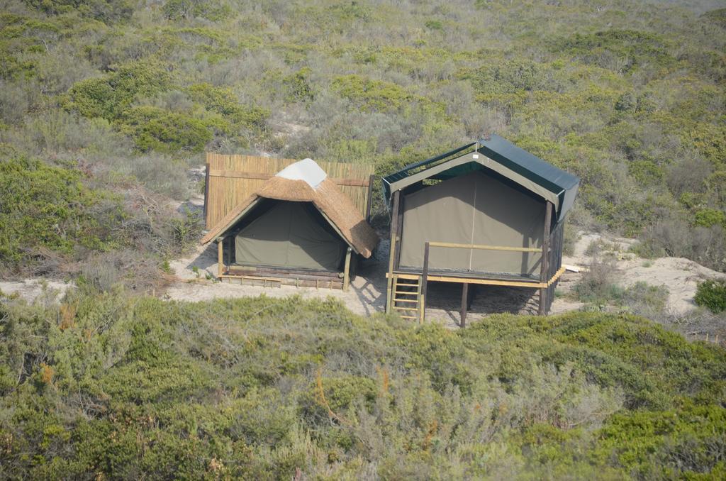West Coast Luxury Tents Dwarskersbos 外观 照片