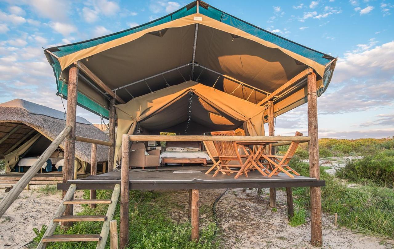 West Coast Luxury Tents Dwarskersbos 外观 照片